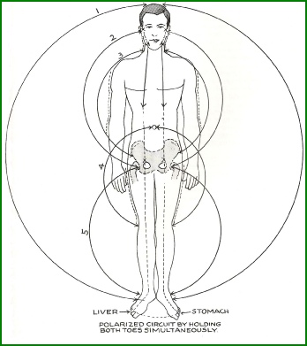 Dr Stones 'Volumes of Work'